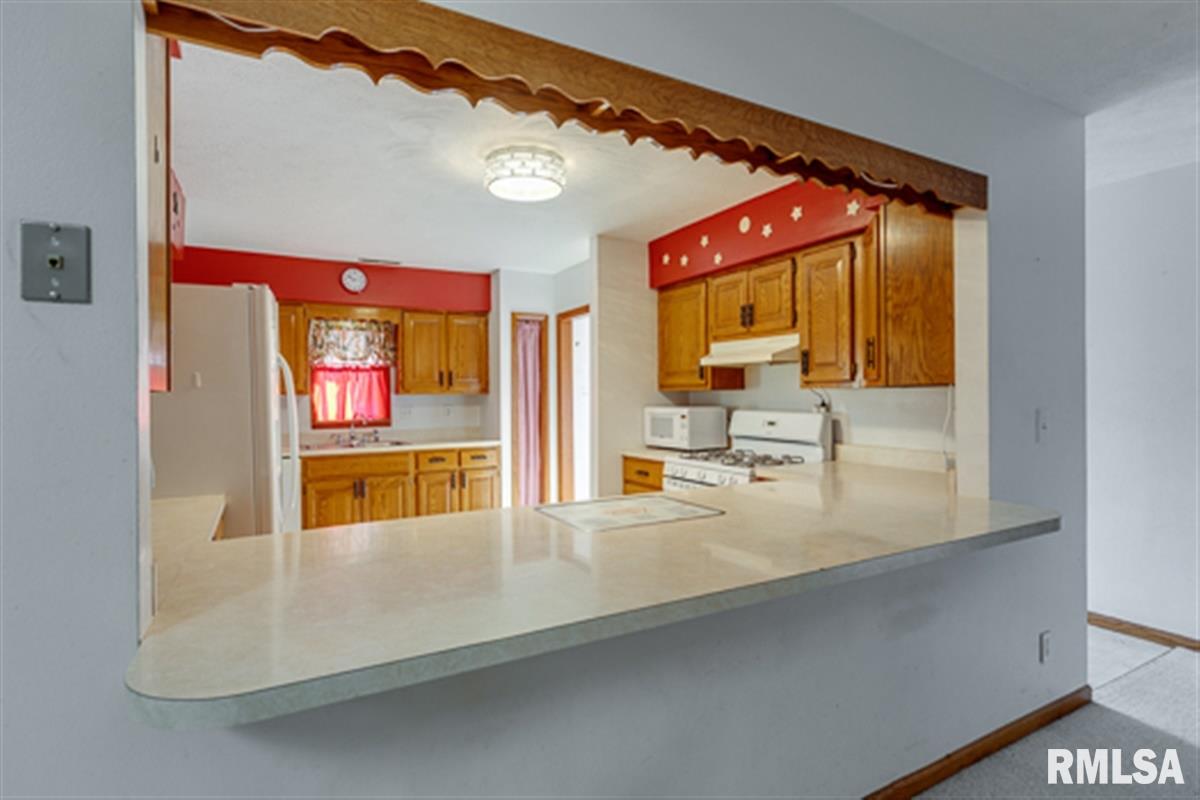 5943 Prairie School Road Riverton, IL 62561 - Photo 14 of 28