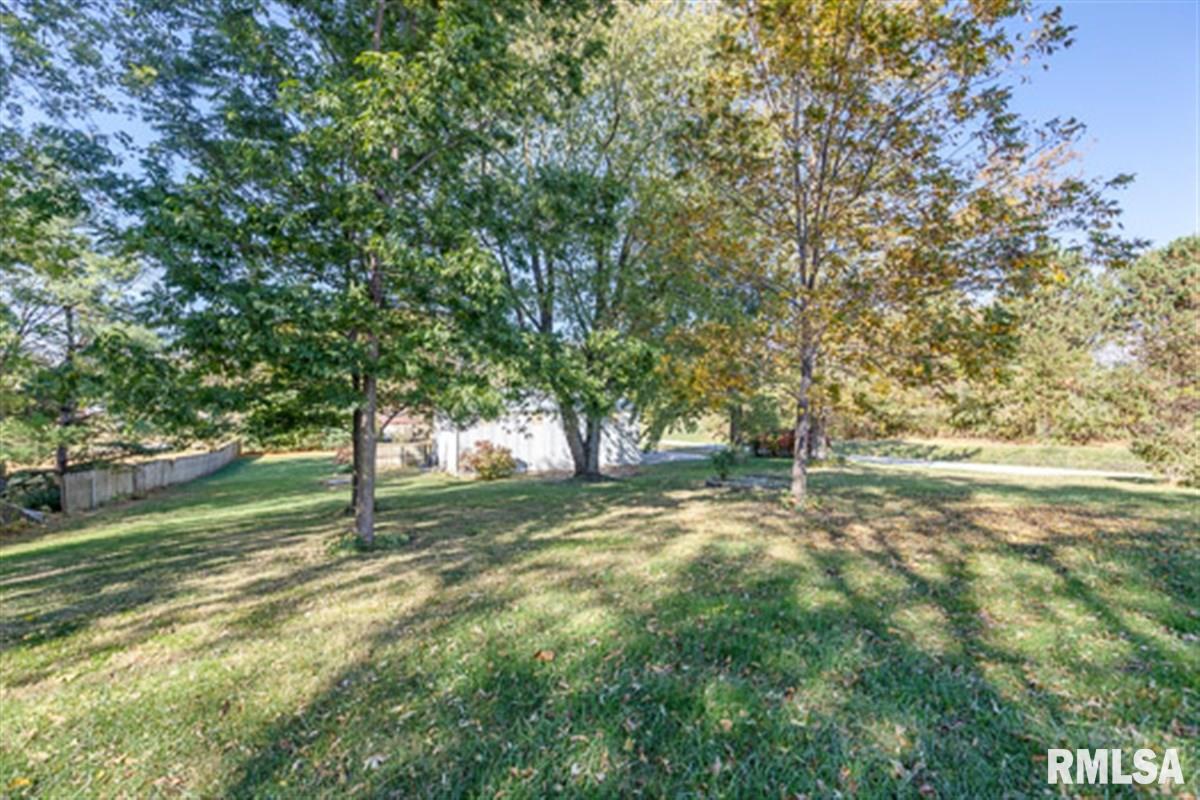 5943 Prairie School Road Riverton, IL 62561 - Photo 18 of 28
