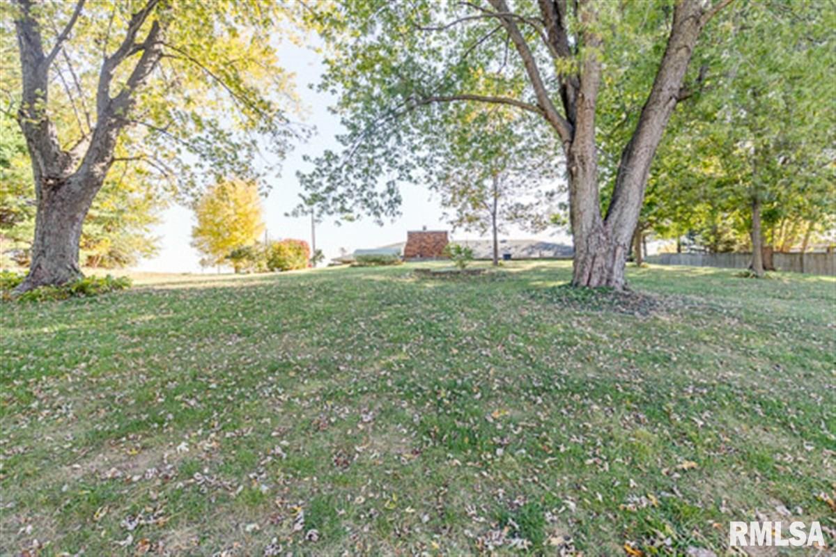 5943 Prairie School Road Riverton, IL 62561 - Photo 19 of 28