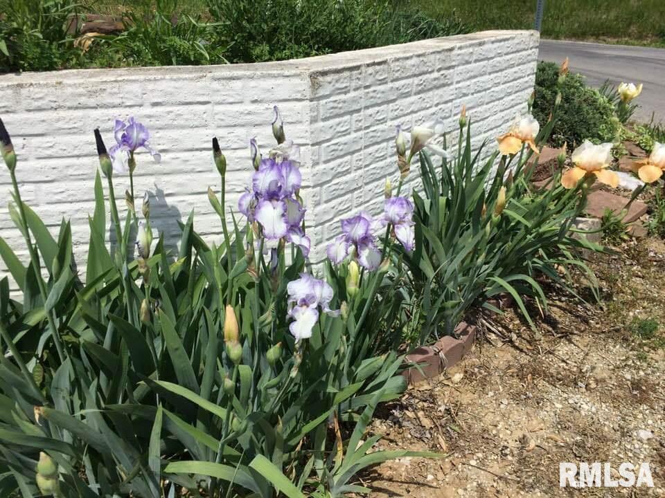5943 Prairie School Road Riverton, IL 62561 - Photo 24 of 28