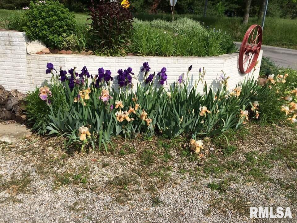 5943 Prairie School Road Riverton, IL 62561 - Photo 25 of 28