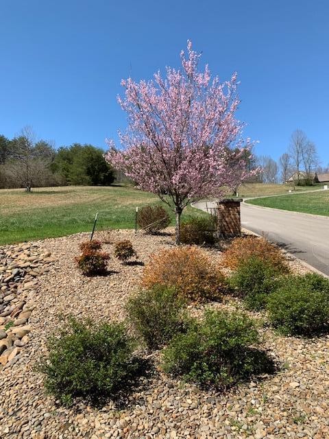 135 Hughes Road Greenback, TN 37742 - Photo 13 of 15