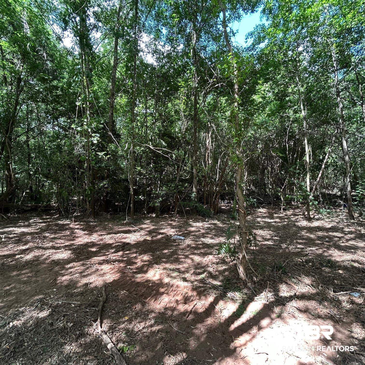 23587 Cowling Road Robertsdale, AL 36567 - Photo 23 of 40 Gallery Image 23
