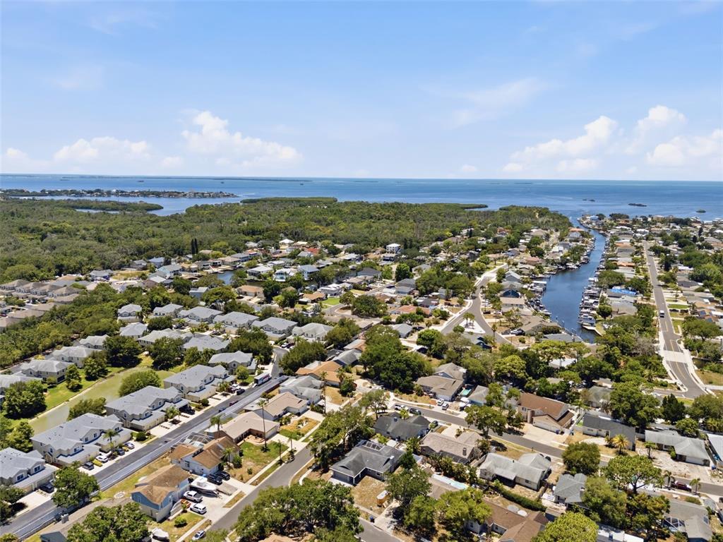4712 Simcoe Street Palm Harbor, FL 34683 - Photo 48 of 51