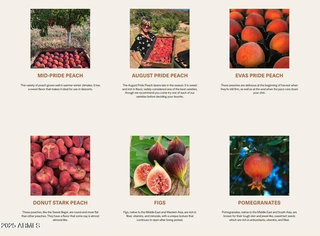 $3,350,000 | 89395 East Aravaipa Road, Winkelman, AZ 85192