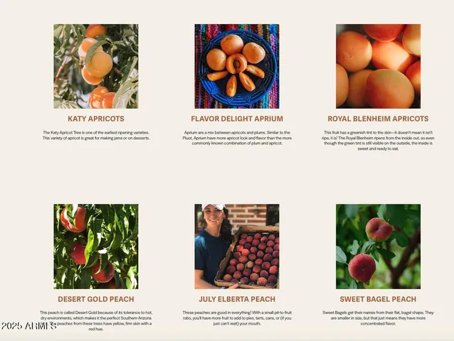 $3,350,000 | 89395 East Aravaipa Road, Winkelman, AZ 85192