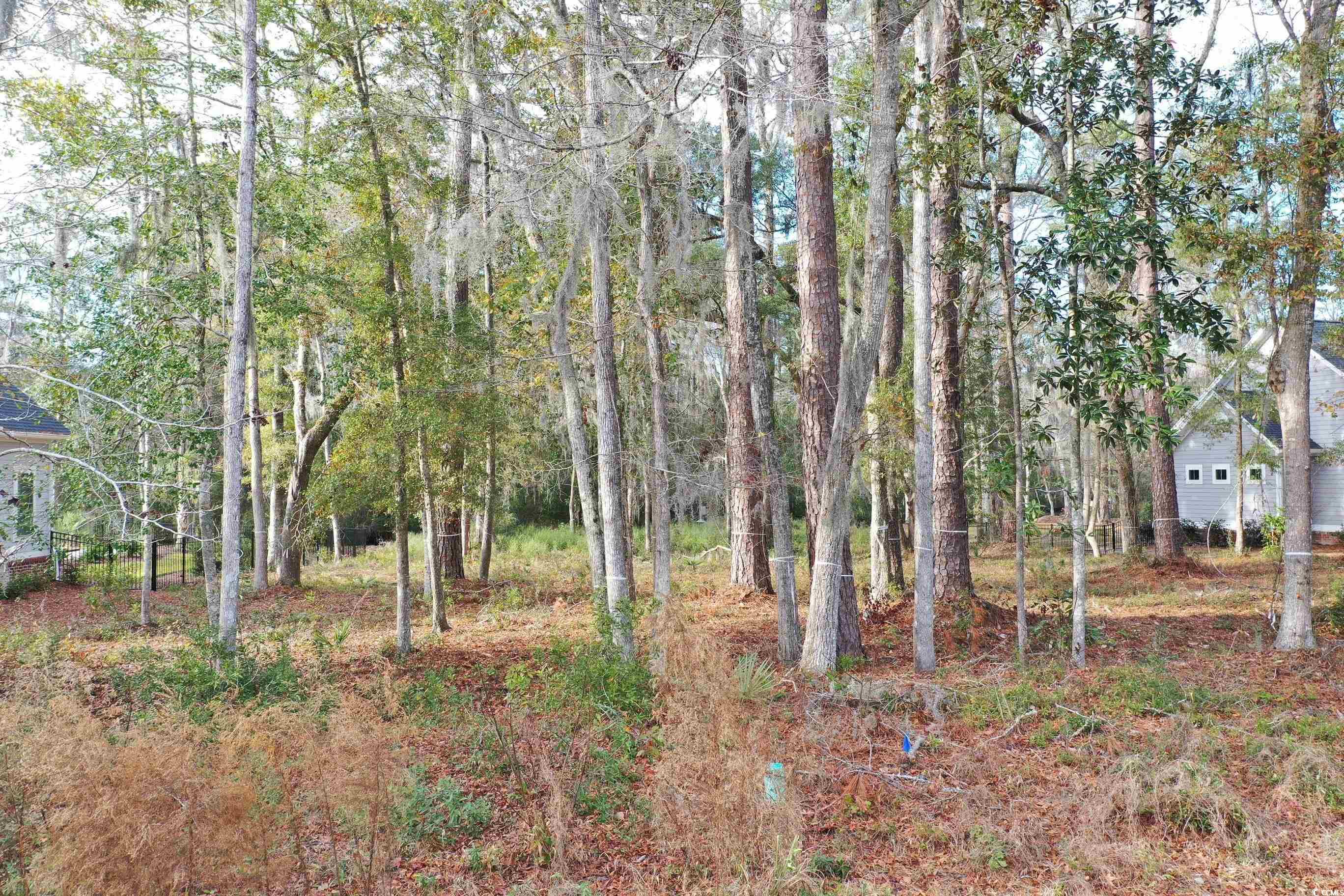 Lot 4 Tuckers Road Pawleys Island, SC 29585 - Photo 1 of 21 Gallery Image 1