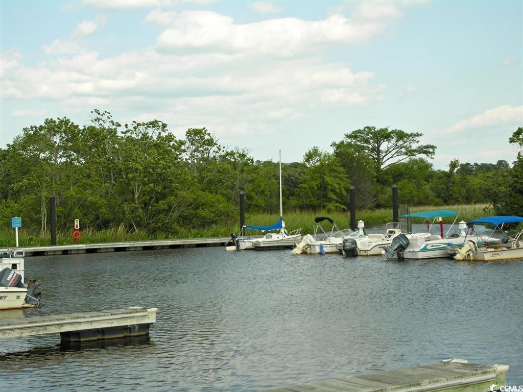 Lot 4 Tuckers Road Pawleys Island, SC 29585 - Photo 12 of 21 Gallery Image 12