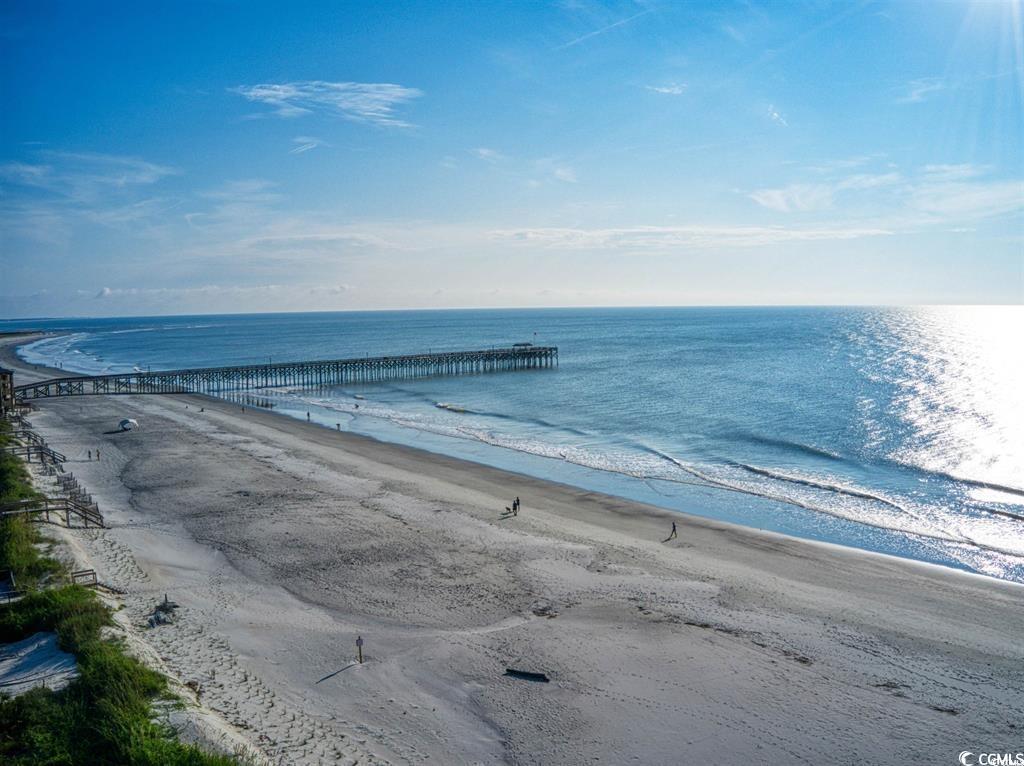 Lot 4 Tuckers Road Pawleys Island, SC 29585 - Photo 19 of 21 Gallery Image 19