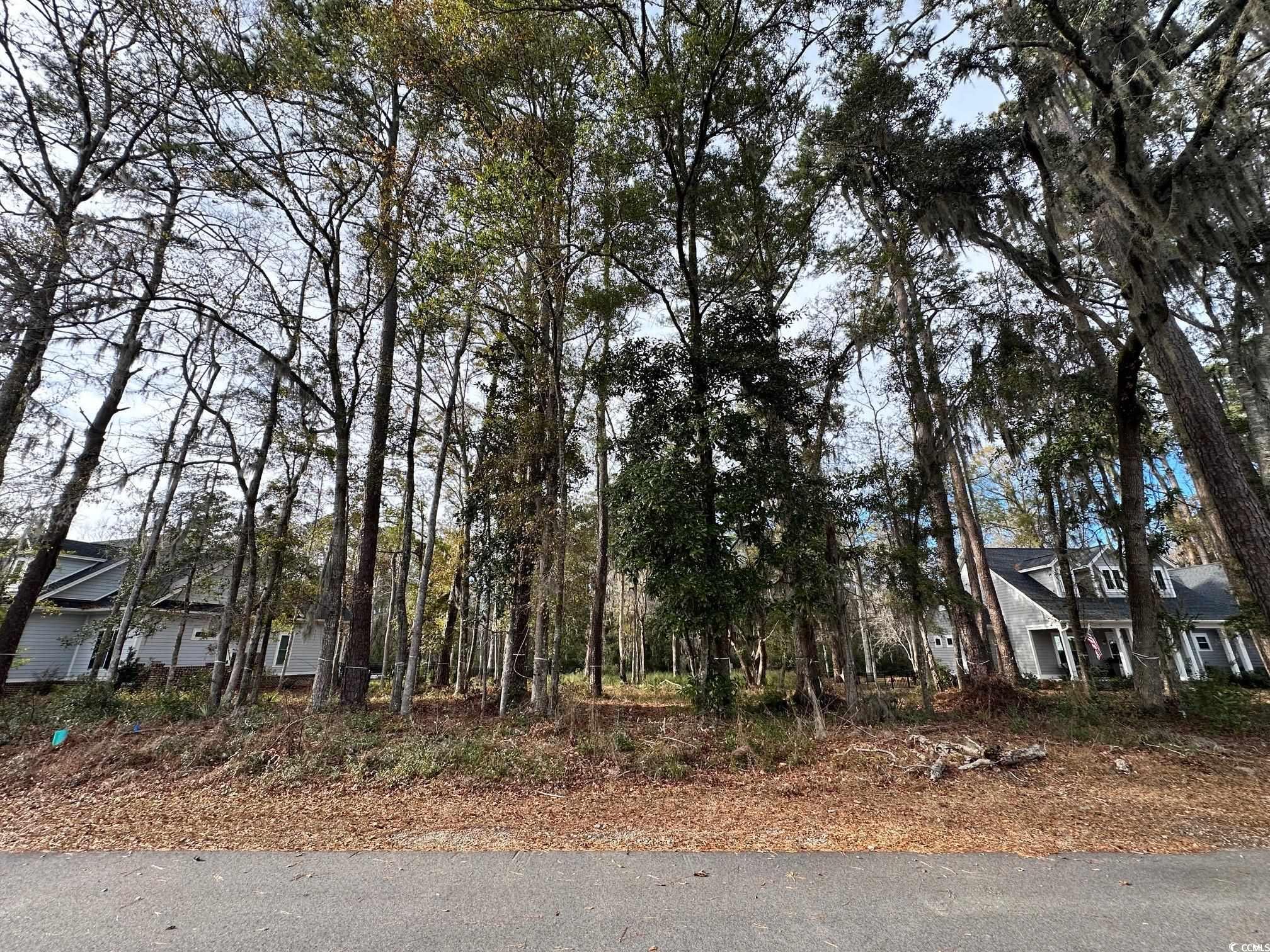 Lot 4 Tuckers Road Pawleys Island, SC 29585 - Photo 5 of 21 Gallery Image 5