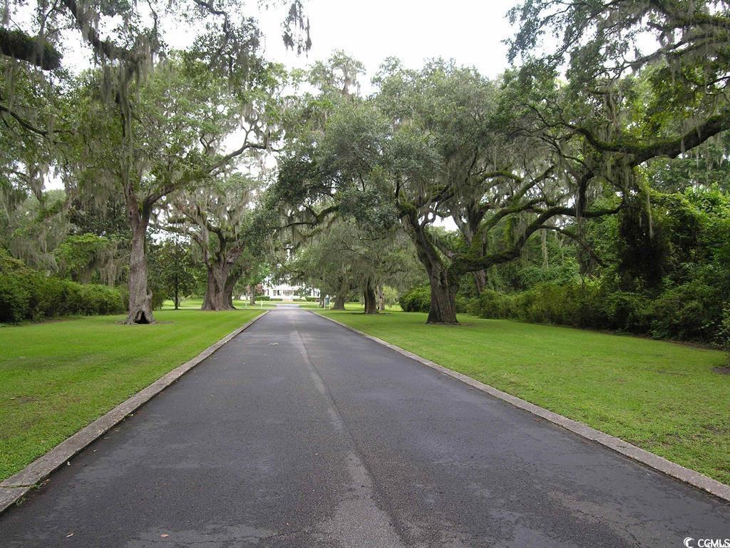 Lot 4 Tuckers Road Pawleys Island, SC 29585 - Photo 8 of 21 Gallery Image 8