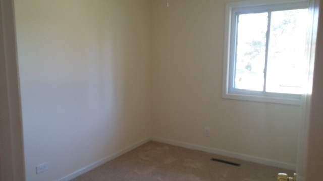 121 East Oltendorf Road Streamwood, IL 60107 - Photo 8 of 12
