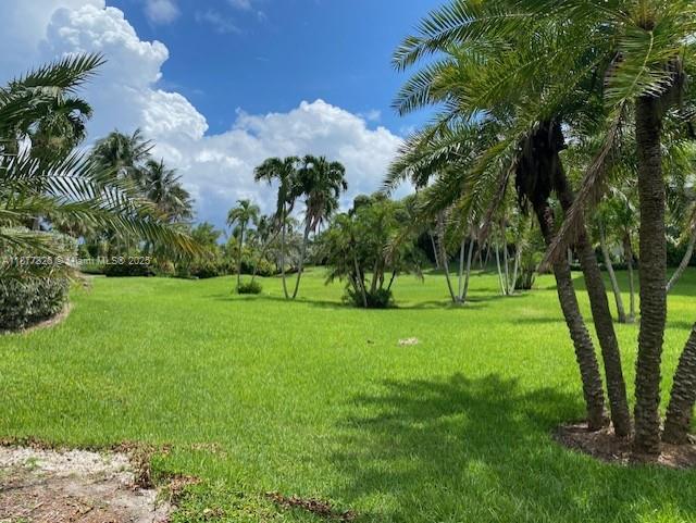 199 Ocean Ln Drive, Unit 707 Key Biscayne, FL 33149 - Photo 21 of 24 a view of a park with large trees