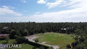 4792 11th Avenue Southwest Naples, FL 34116 - Photo 6 of 8 a view of a back yard