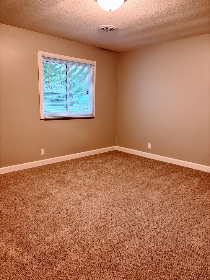 1081 Eastview Drive Rantoul, IL 61866 - Photo 3 of 18
