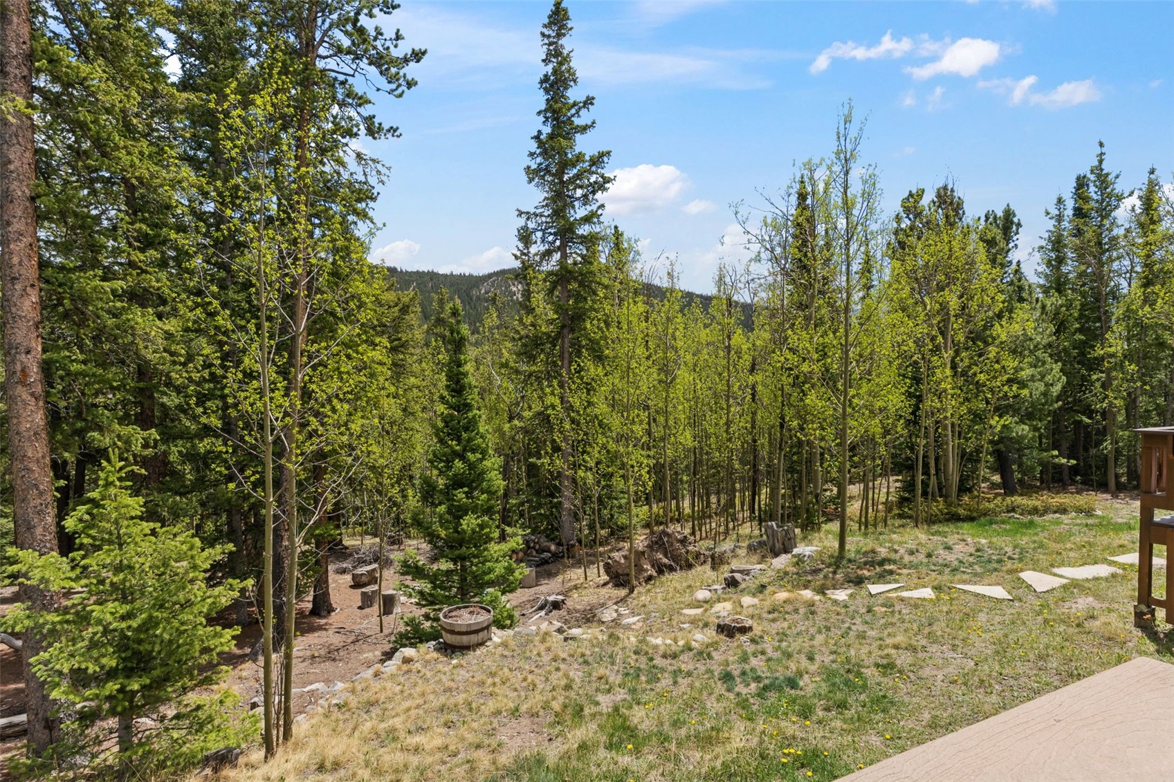 366 Quartzville Road Alma, CO 80420 - Photo 22 of 29 Private yard