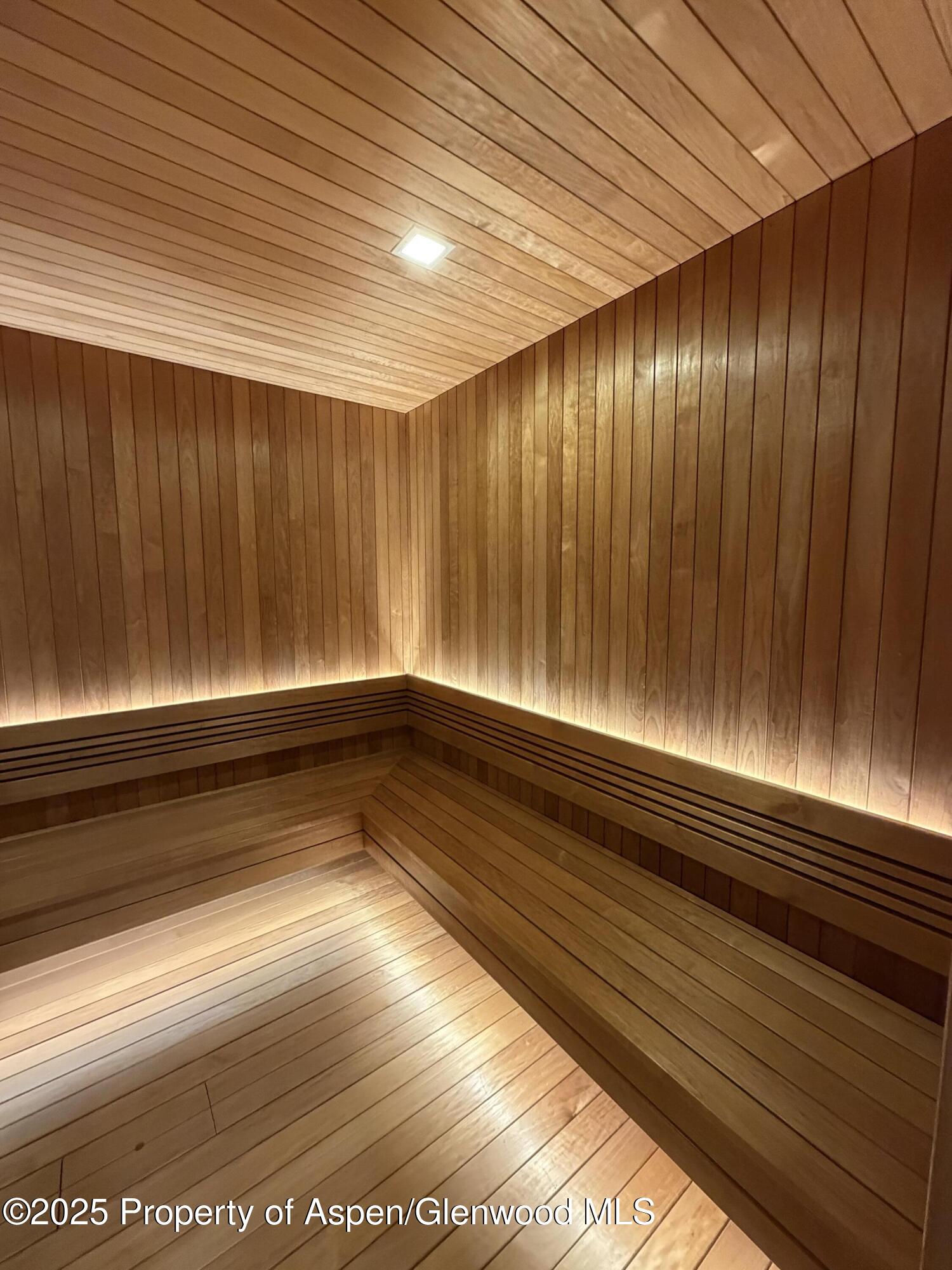 425 Wood Road, Unit 19 Snowmass Village, CO 81615 - Photo 22 of 26 a view of entryway