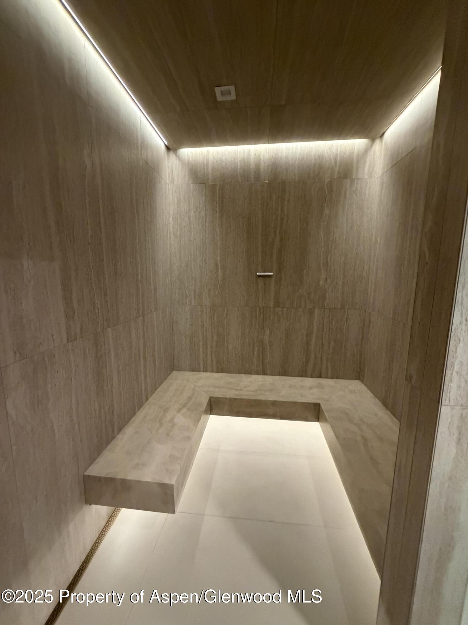 425 Wood Road, Unit 19 Snowmass Village, CO 81615 - Photo 24 of 26 a view of elevator