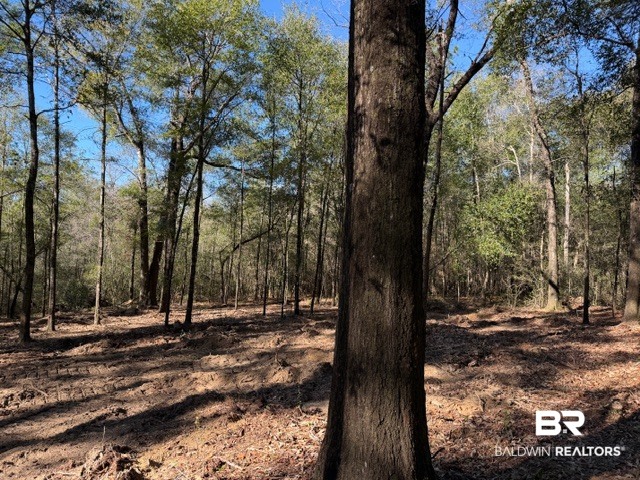 0 Danner Road East Wilmer, AL 36587 - Photo 13 of 34 Gallery Image 13