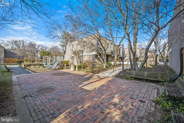 a view of a park with large trees