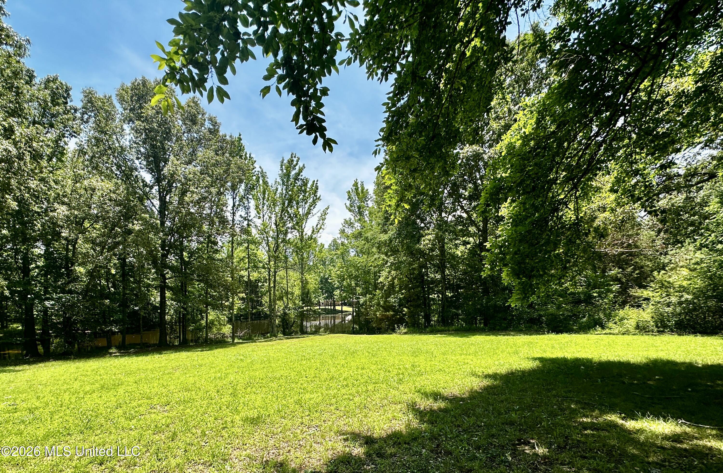 8863 Sheltowee Trail Hernando, MS 38632 - Photo 18 of 22 Backyard & lake