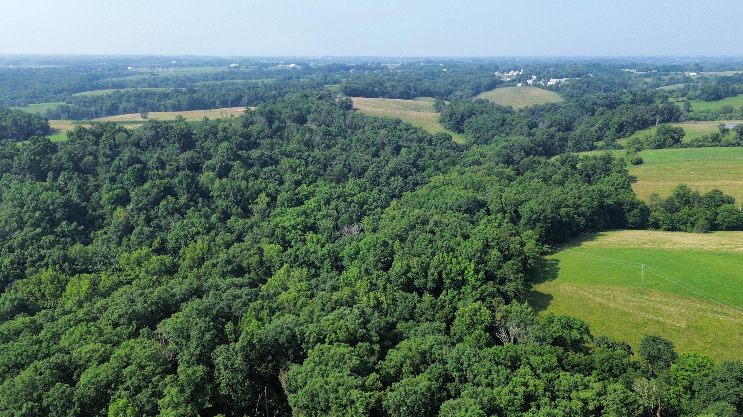 dji_fly_20260719_181614_43_1784563421261