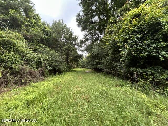 301 Freeman Road Southwest Summit, MS 39666 - Photo 25 of 43 IMG_4609