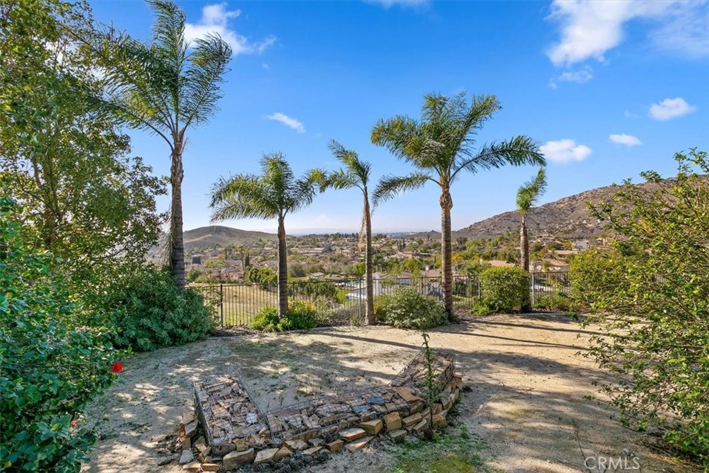 1486 Valley Drive Norco, CA 92860 - Photo 53 of 66 a view of a yard with palm tree
