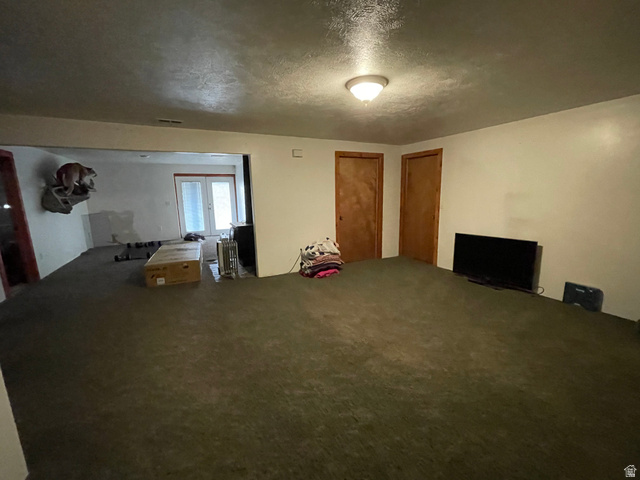 333 Lago Liberty Road Grace, ID 83241 - Photo 24 of 35 Unfurnished living room with a textured ceiling and carpet floors