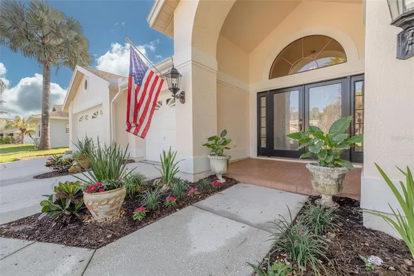 a potted plant sitting in front of a house