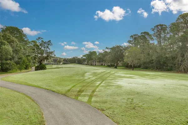 a view of a golf course with a tree