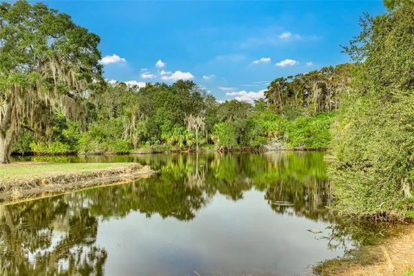 a view of lake with green space