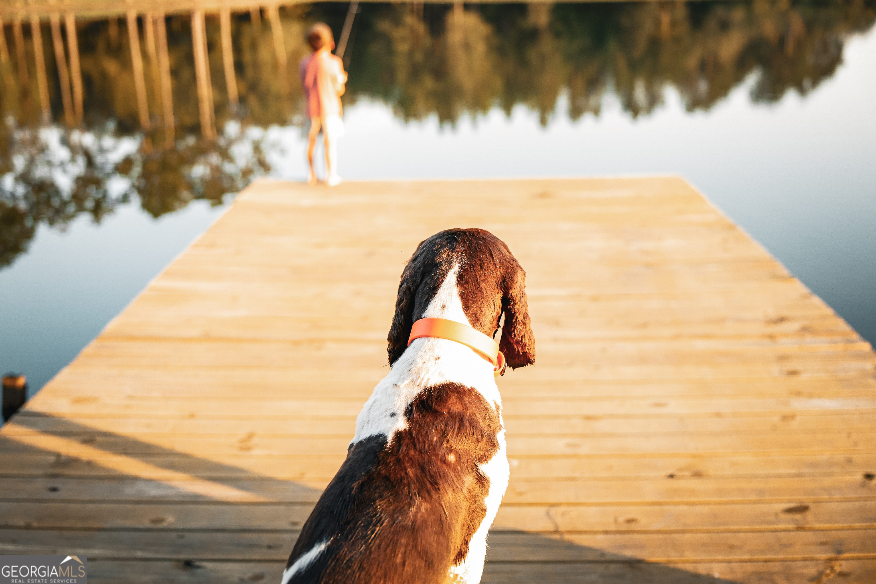 1576 Chula Brookfield Road Tifton, GA 31794 - Photo 13 of 79 a view of swimming pool with a yard