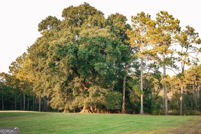 a view of a lake with a mountain