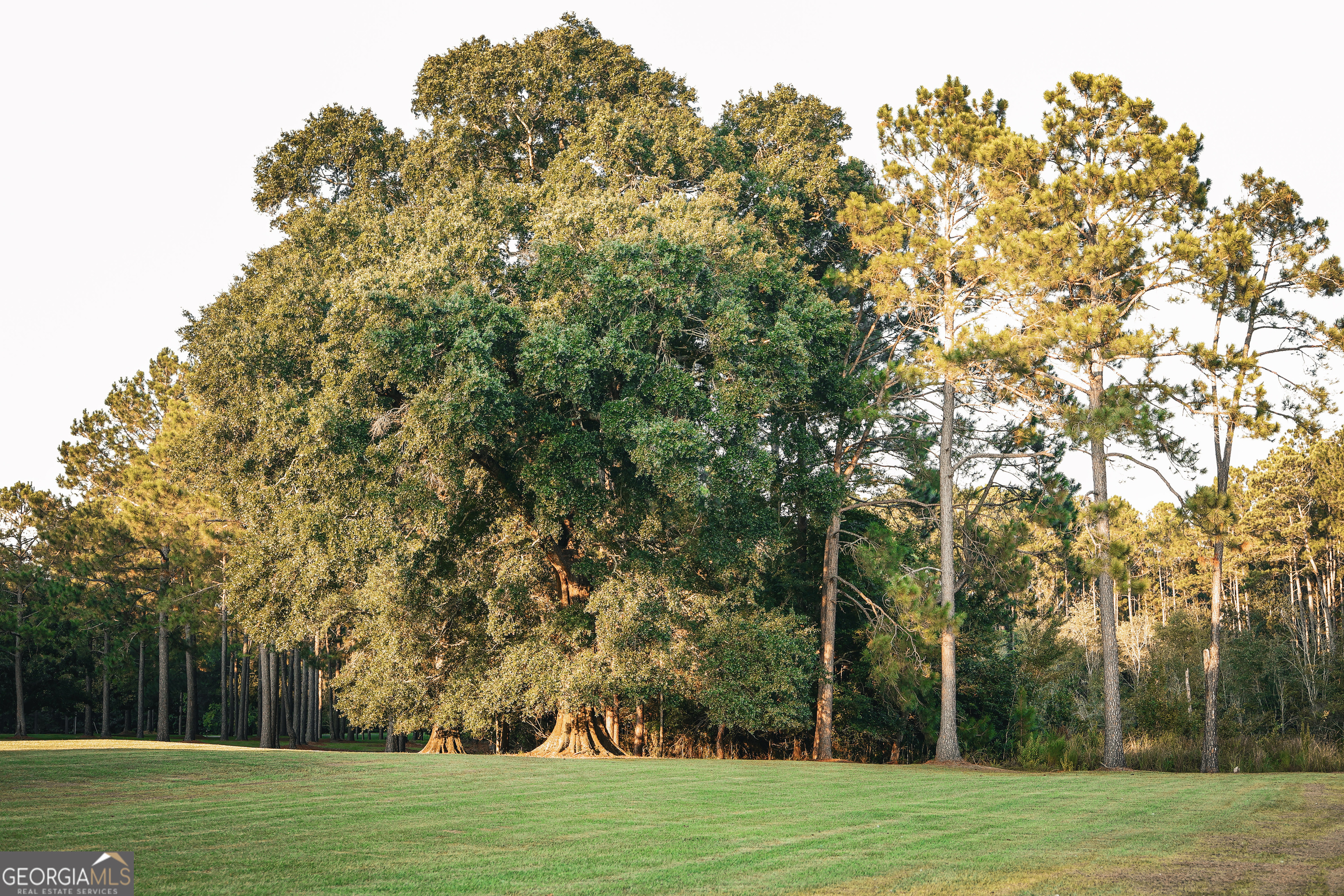 1576 Chula Brookfield Road Tifton, GA 31794 - Photo 16 of 79