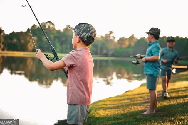 a view of a tree with a plant