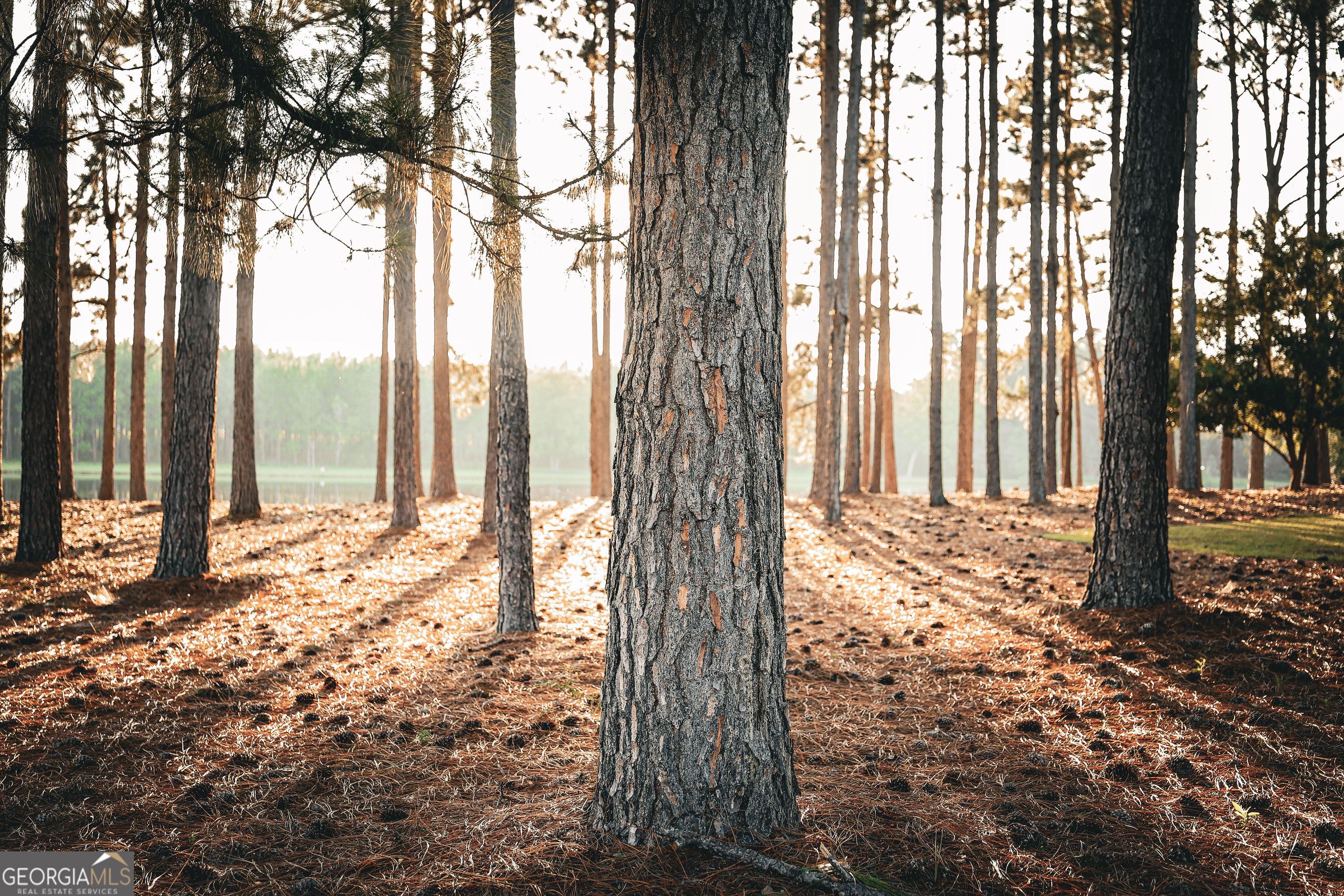 1576 Chula Brookfield Road Tifton, GA 31794 - Photo 21 of 79 a view of a backyard of the house