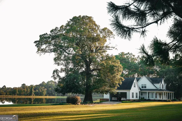 a view of a yard with trees