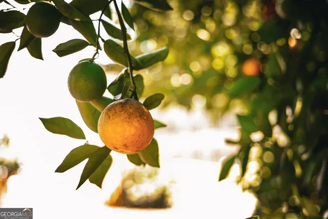 a view of a city and lake view