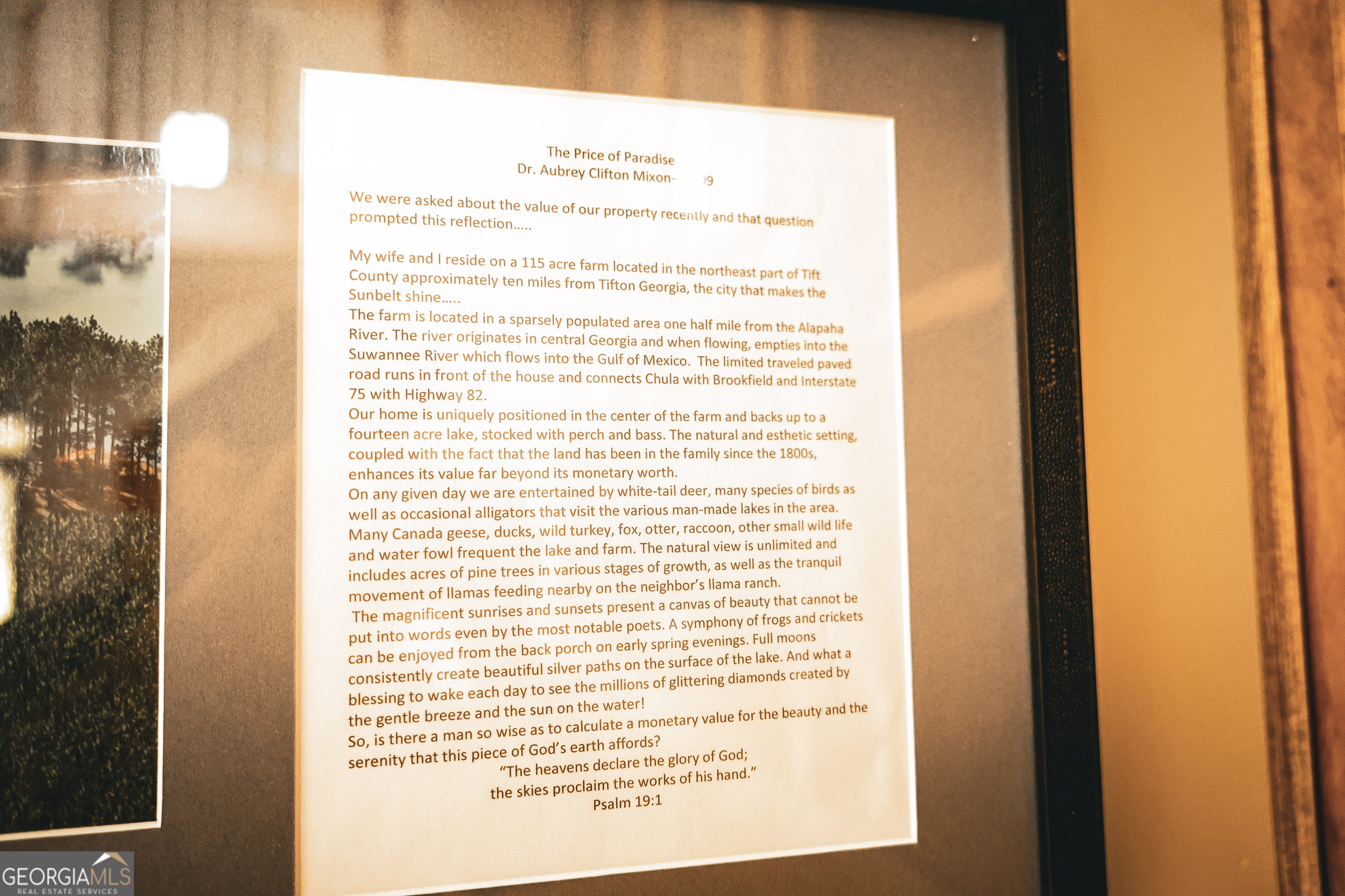 1576 Chula Brookfield Road Tifton, GA 31794 - Photo 34 of 79