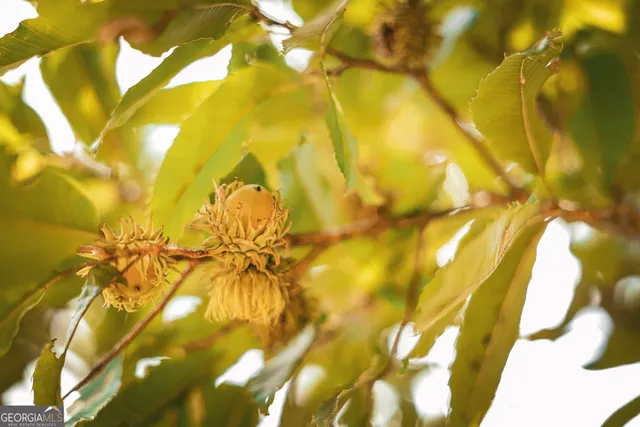 an aerial view of a house with a yard and lake view