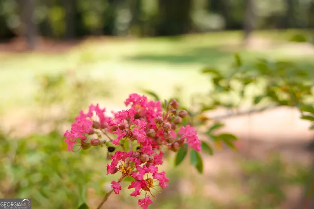 a view of a lake with a trees in the background