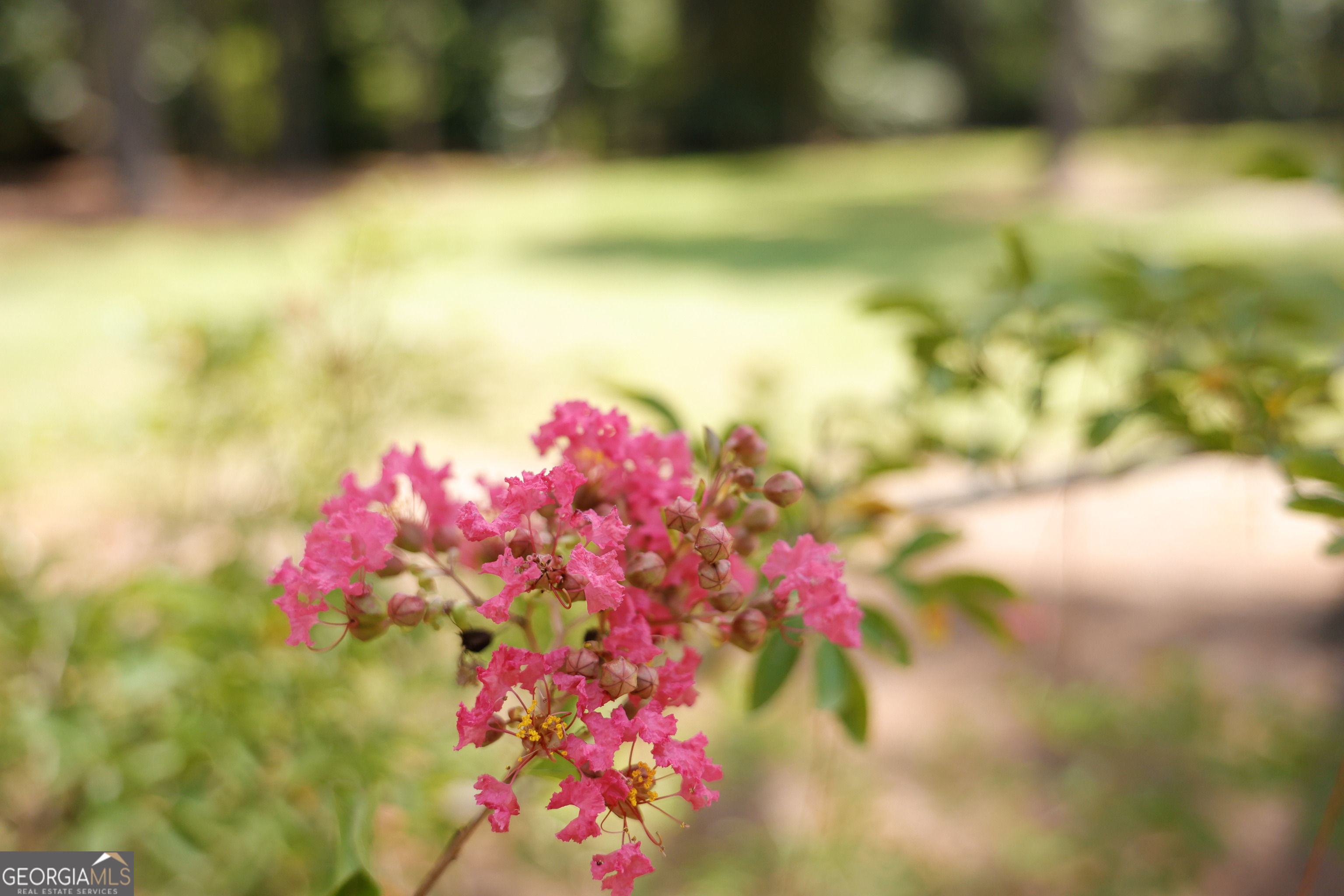 1576 Chula Brookfield Road Tifton, GA 31794 - Photo 37 of 79