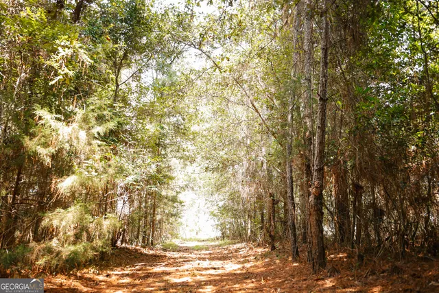 a living room with fireplace furniture and a flat screen tv