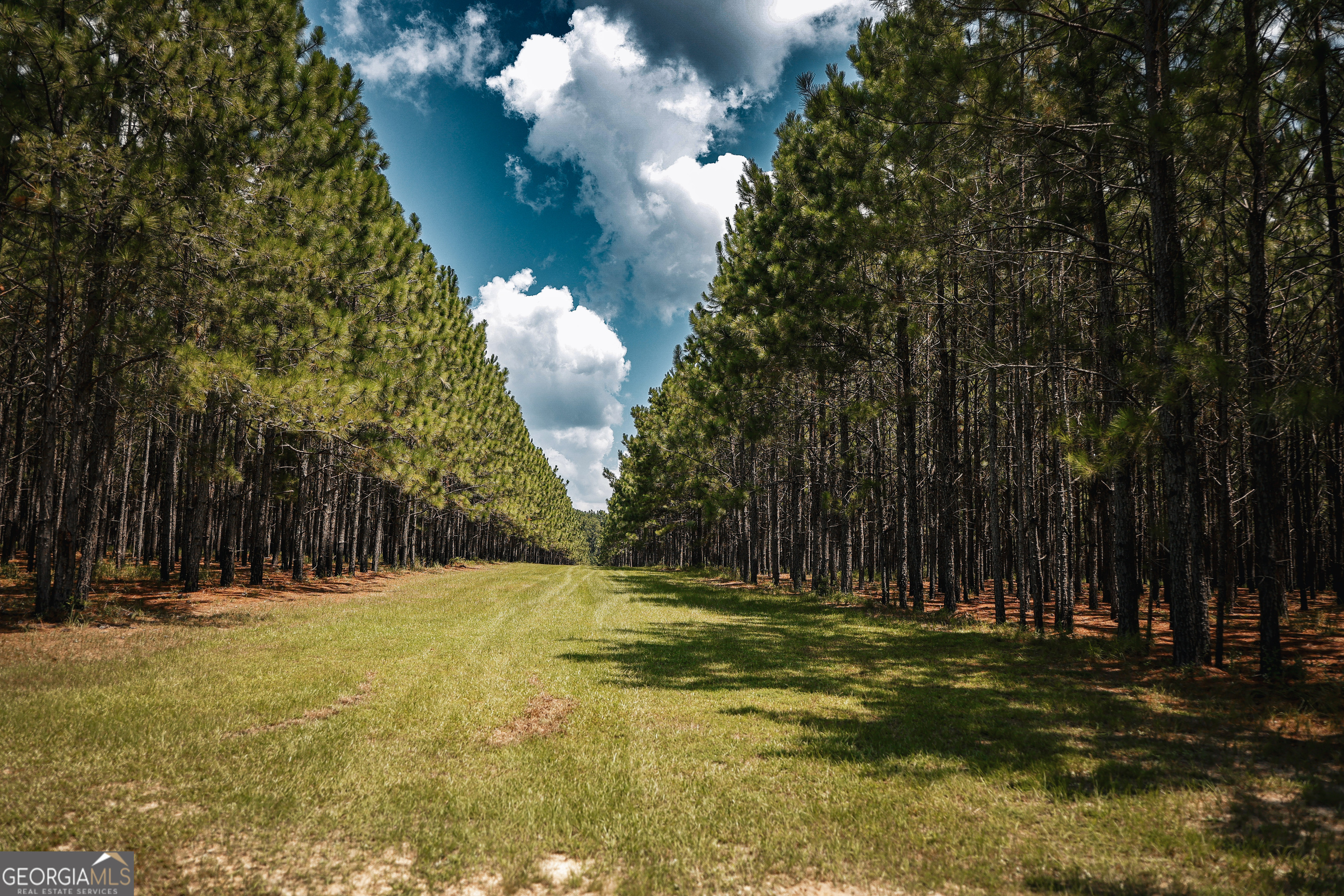1576 Chula Brookfield Road Tifton, GA 31794 - Photo 41 of 79 a view of a golf course