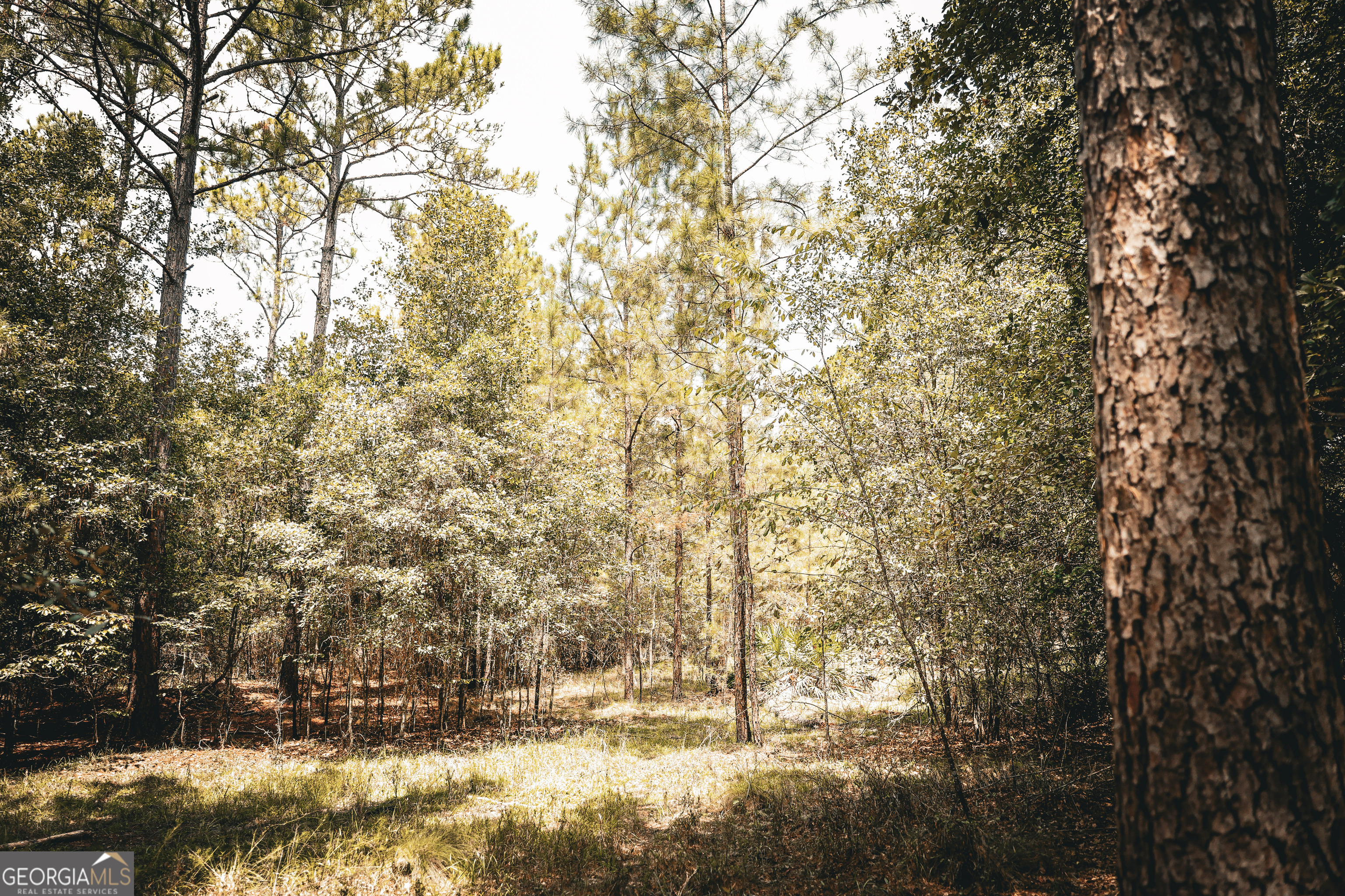 1576 Chula Brookfield Road Tifton, GA 31794 - Photo 42 of 79 a view of outdoor space and a yard