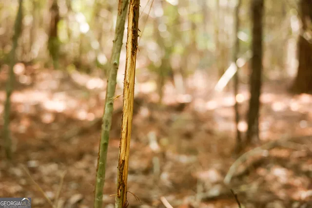 a view of a balcony with lake view and wooden floor