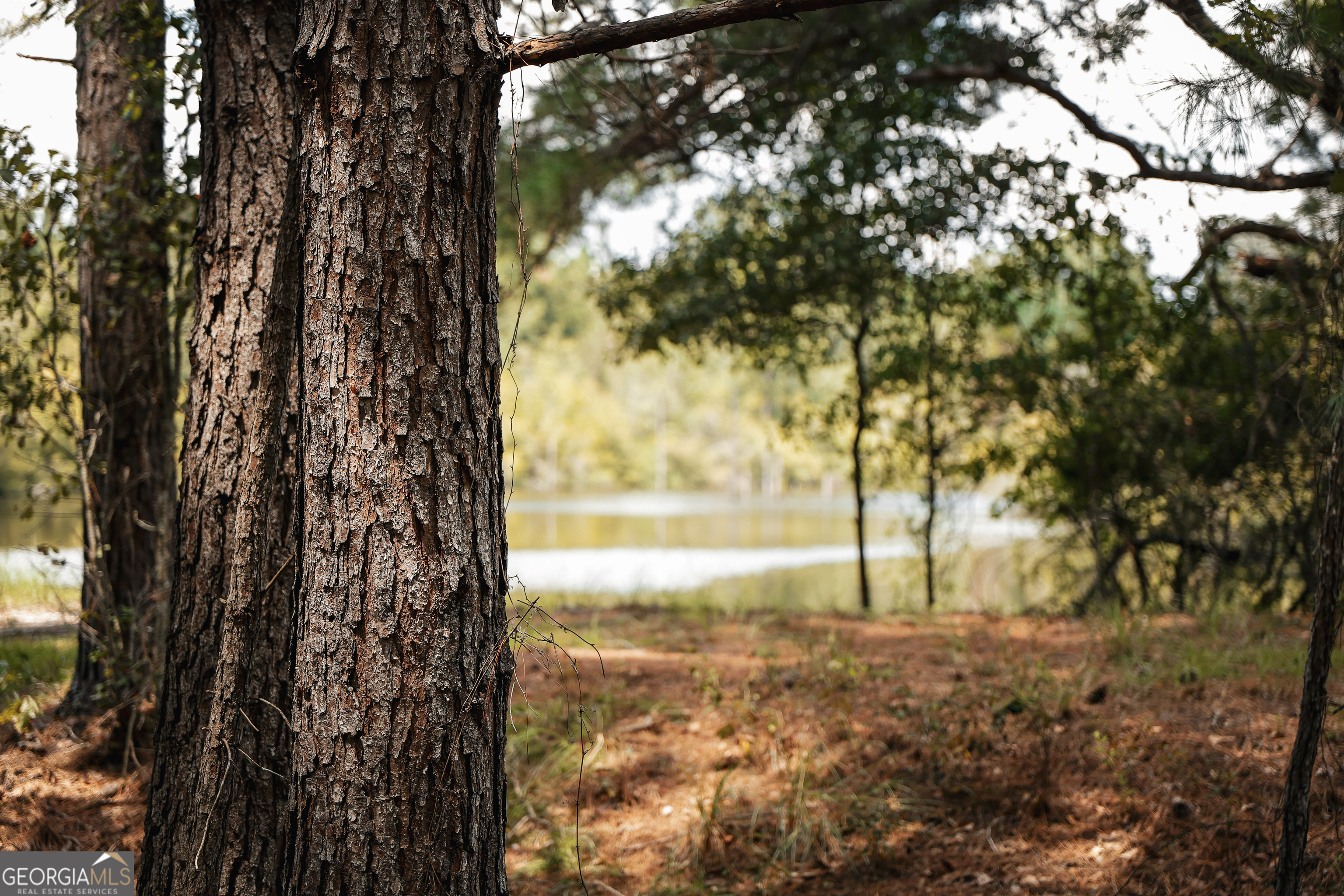 1576 Chula Brookfield Road Tifton, GA 31794 - Photo 46 of 79 a view of lake with large trees