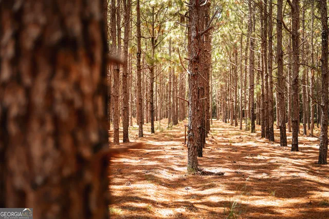 $1,700,000 | 1576 Chula Brookfield Road, Tifton, GA 31794