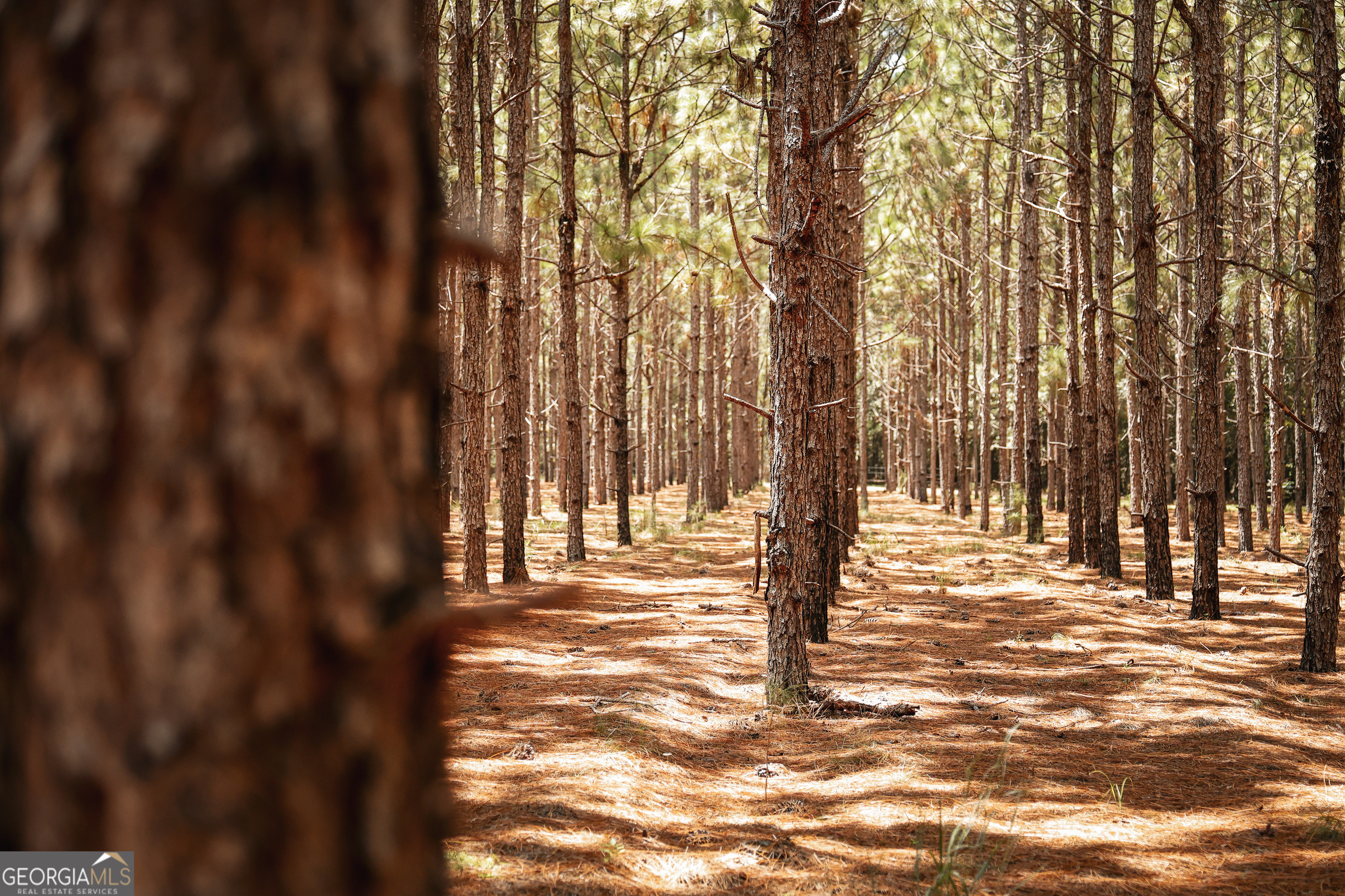 1576 Chula Brookfield Road Tifton, GA 31794 - Photo 51 of 79